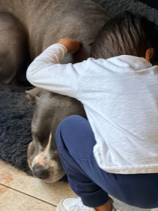 Child rests with large dog in Luxembourg city