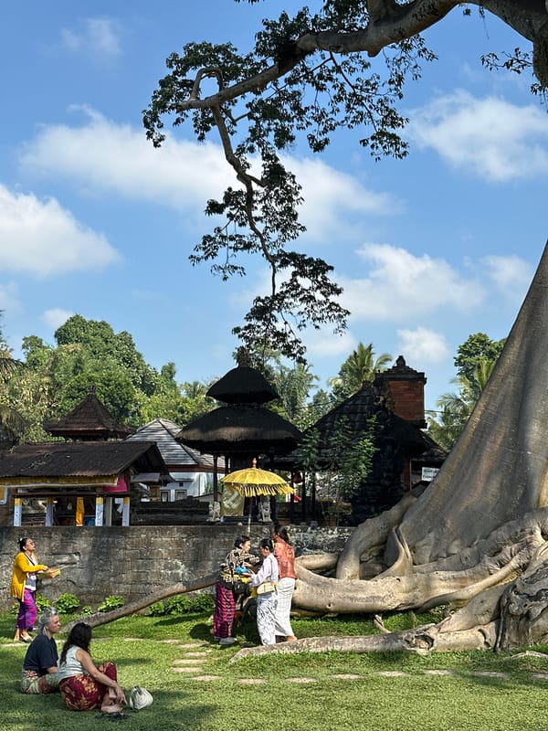 Exploring Pura Taman Ayun's grounds, waterways, and ancient banyan tree