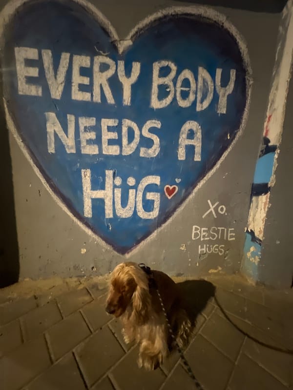 Dog poses near heartwarming street art in Tel-Aviv