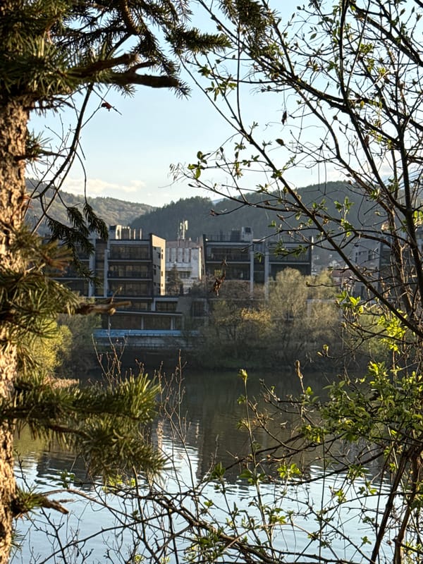 Peaceful forest and lake scenes documented in Pancharevo Bulgaria