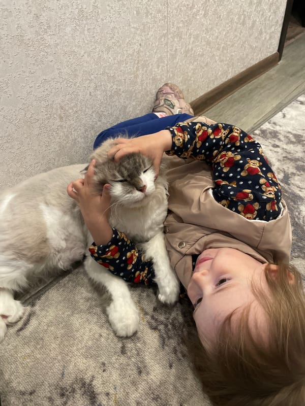 Toddler and cat share quiet moment on rug in Vladivostok