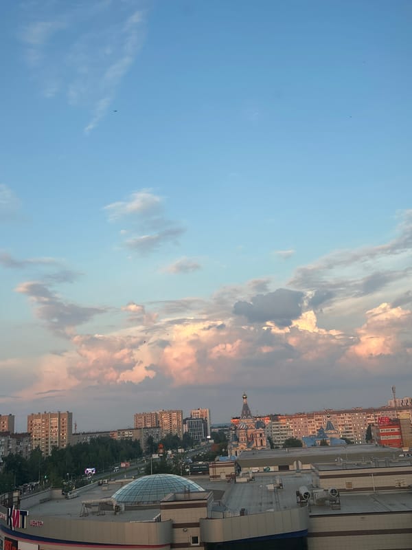 Cat care and sunset views during evening in Izhevsk