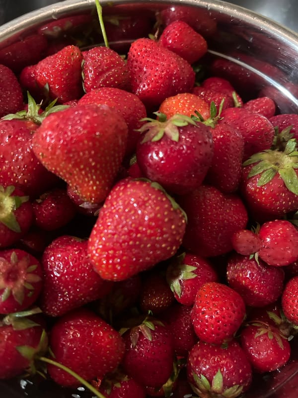 Summer evening scenes: fresh strawberries and child's scooter ride