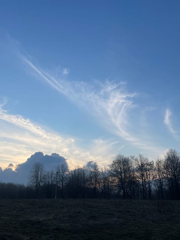 Visitor documents springtime walk through Moscow park and forest
