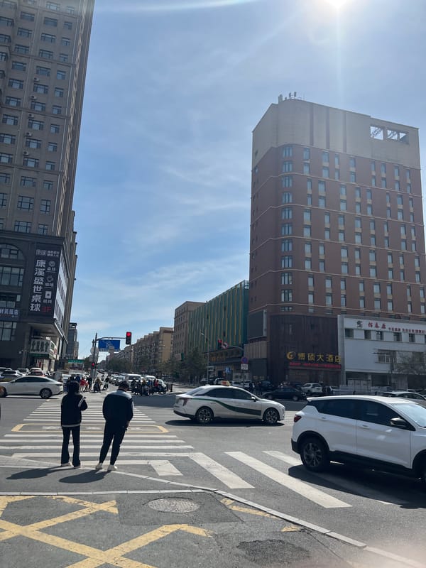Late night pedestrian crossing documented in Changchun City