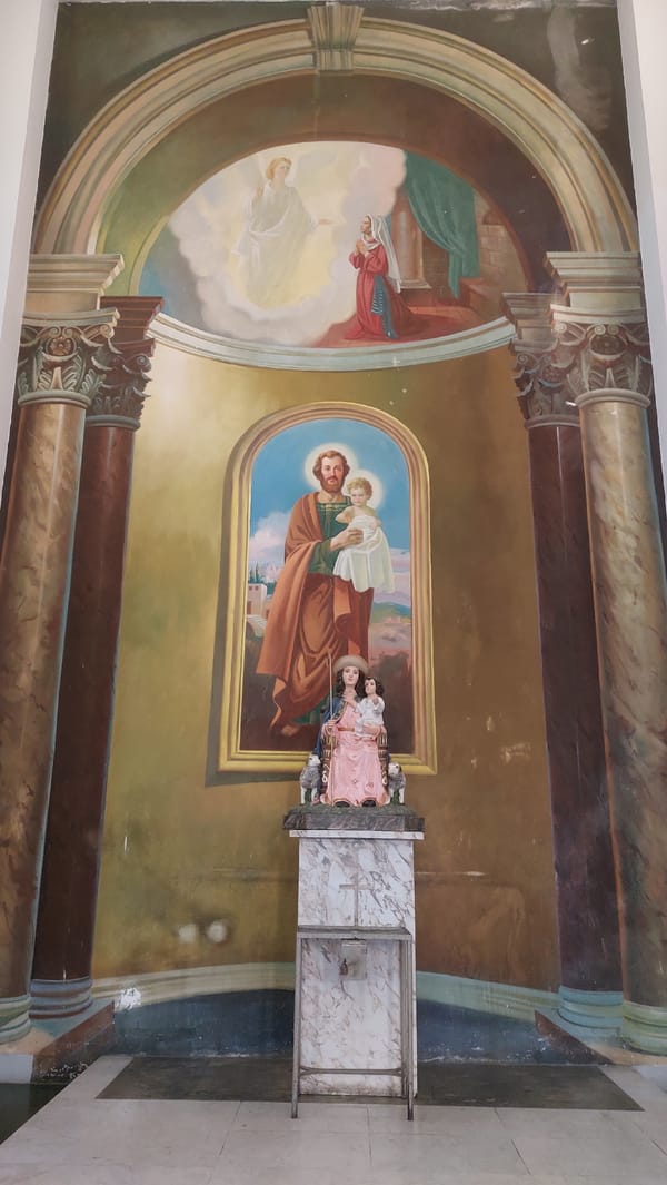 Caracas churches and blooming trees documented in afternoon walk
