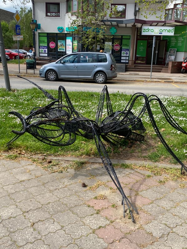 Morning street scenes documented in Subotica, Serbia