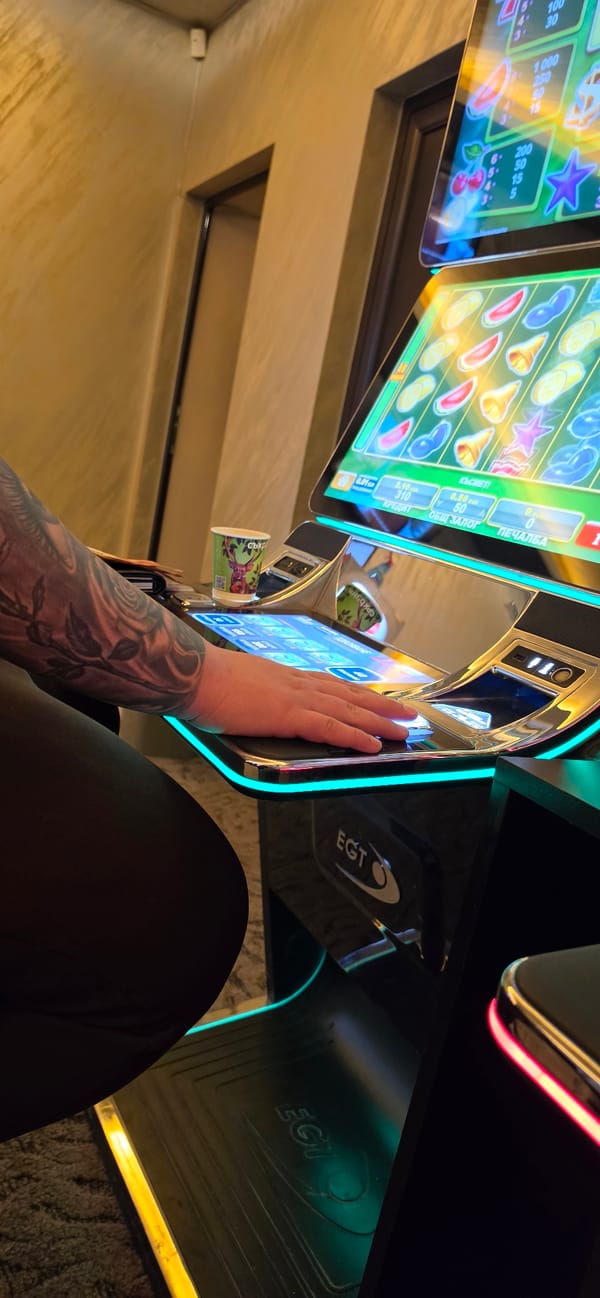 Person plays slot machine in Bulgarian gaming establishment