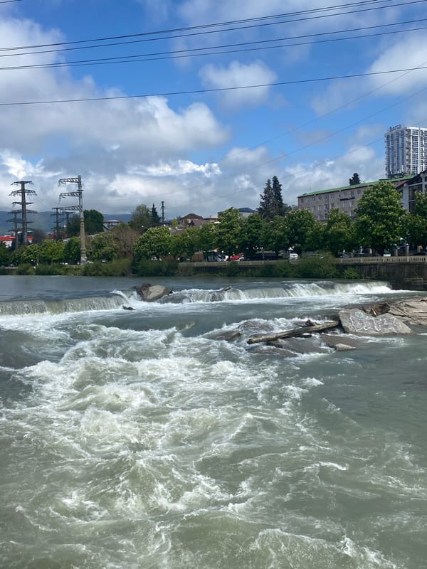 Sochi river rapids documented flowing over artificial dams