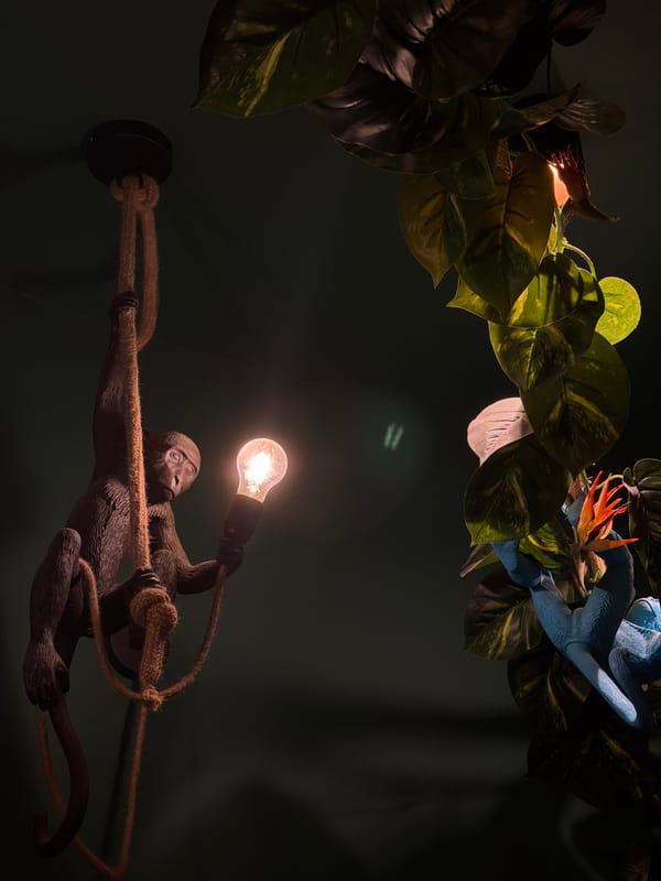 Couple enjoys waterfront dining and sea views in Varna