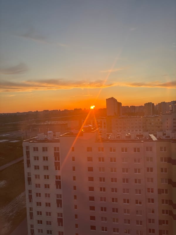 Urban sunset observed with cat in cityscape