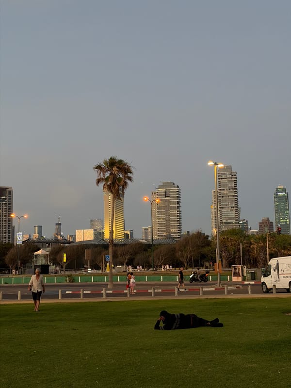 Afternoon gatherings observed in Tel Aviv park during sunset