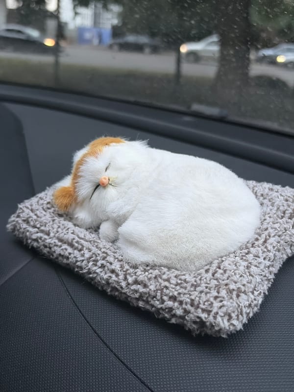 Plush cat naps on a dashboard pillow rolling through Almaty