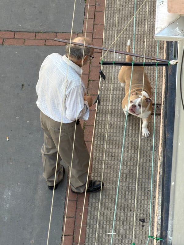 Casual urban moments documented in Logroño, Spain afternoon