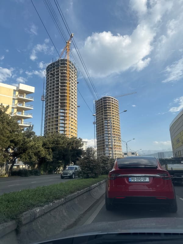 Construction and cat moments captured in Tbilisi afternoon