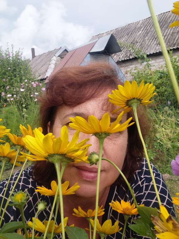 Afternoon in the garden: flowers, a ginger cat, and greenery