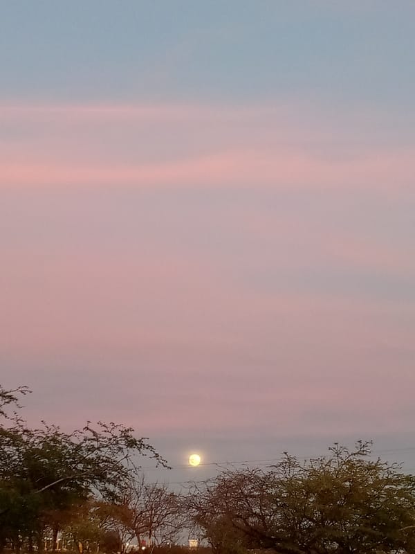 Evening landscape sequence captured across Venezuelan countryside
