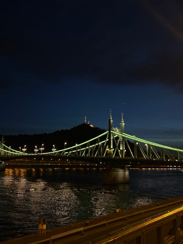 Budapest evening documentation captures Liberty Bridge, Danube views