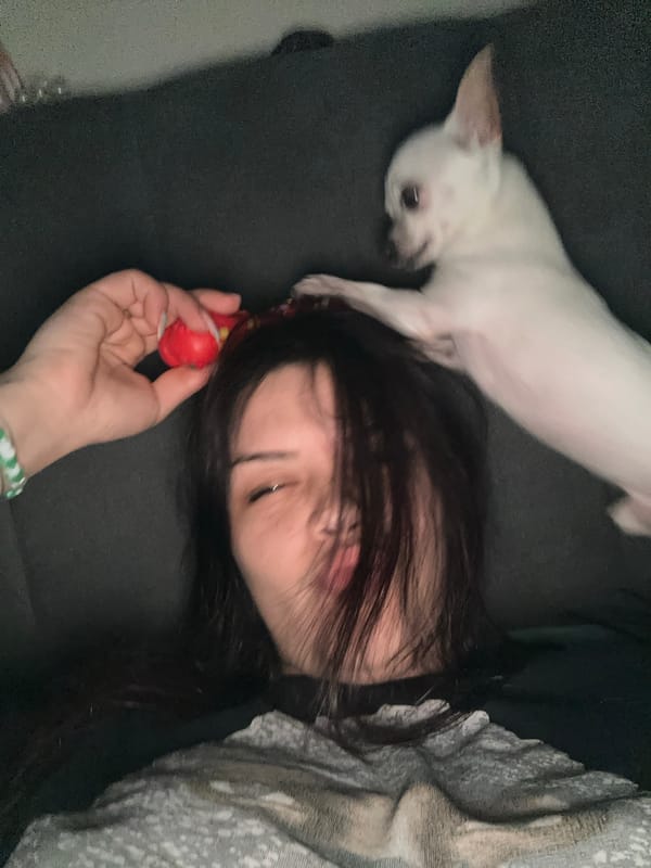Woman rests with small dog on sofa in Sliven
