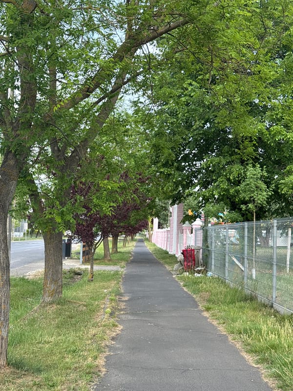 Residential street scene documented in Balatonlelle, Hungary