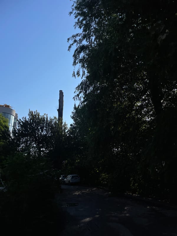 Morning walk documented through eight scenes over four minutes