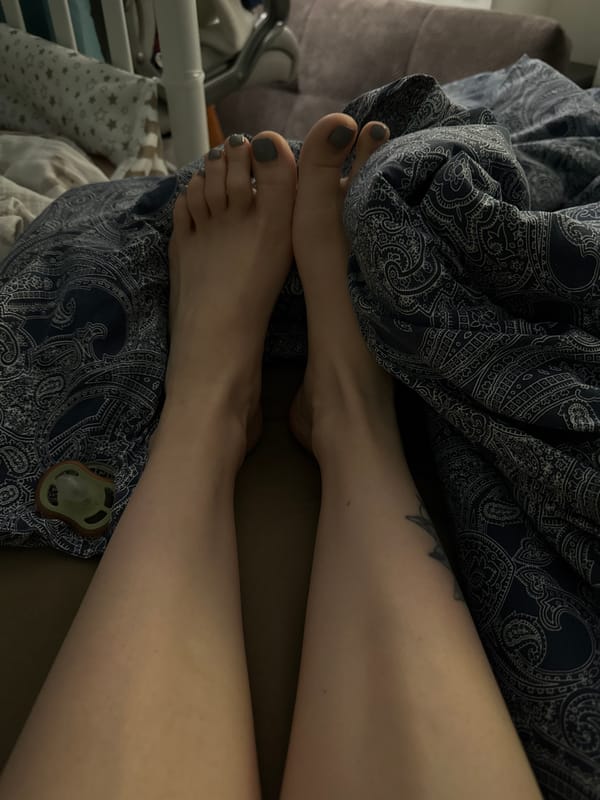 Moscow morning domestic scenes captured across three households