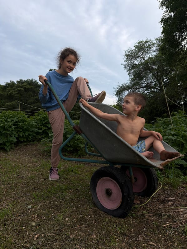 Children play with wheelbarrow, rest on blanket in Vasil'kovka