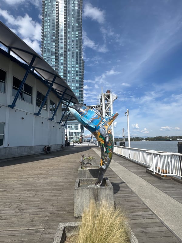 New Westminster waterfront and downtown streets on a summer afternoon