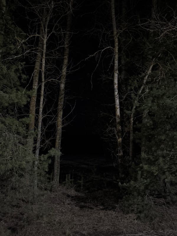 Two women pose on dark street in Rusalevka