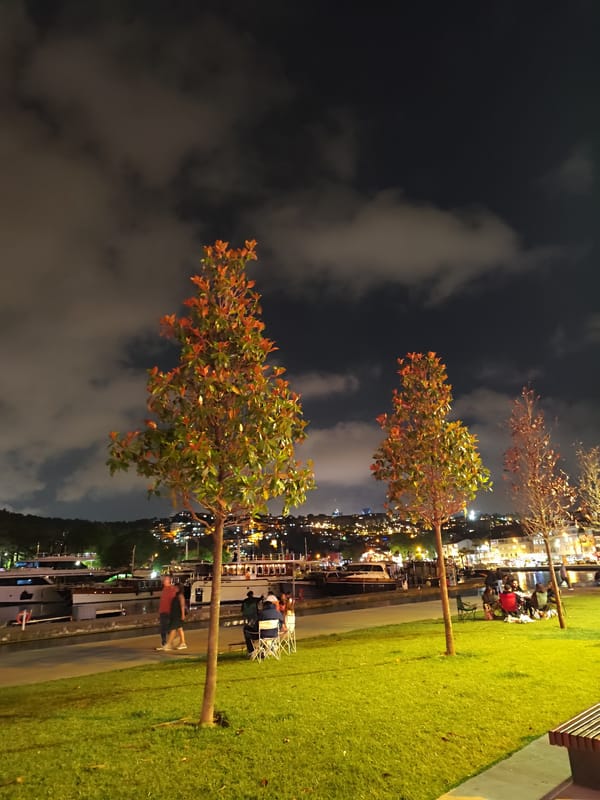 Nighttime waterfront scenes documented in Sarıyer, Turkey harbor area