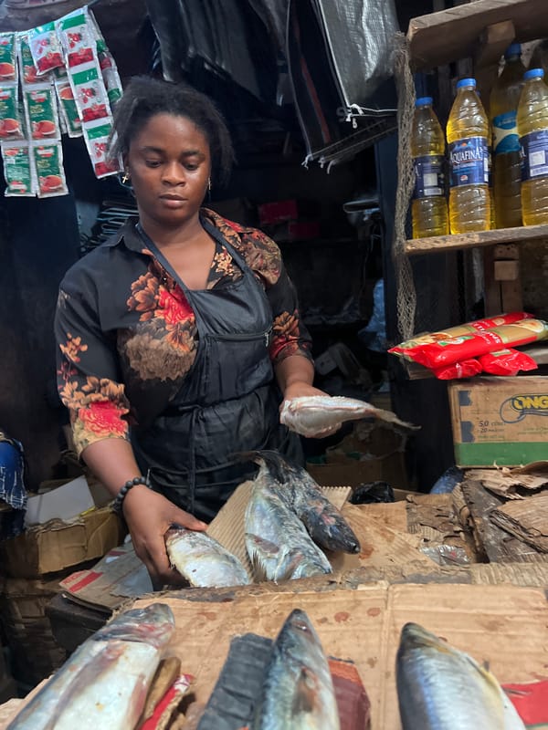 Fish market activity in full swing in Nkpor, Nigeria