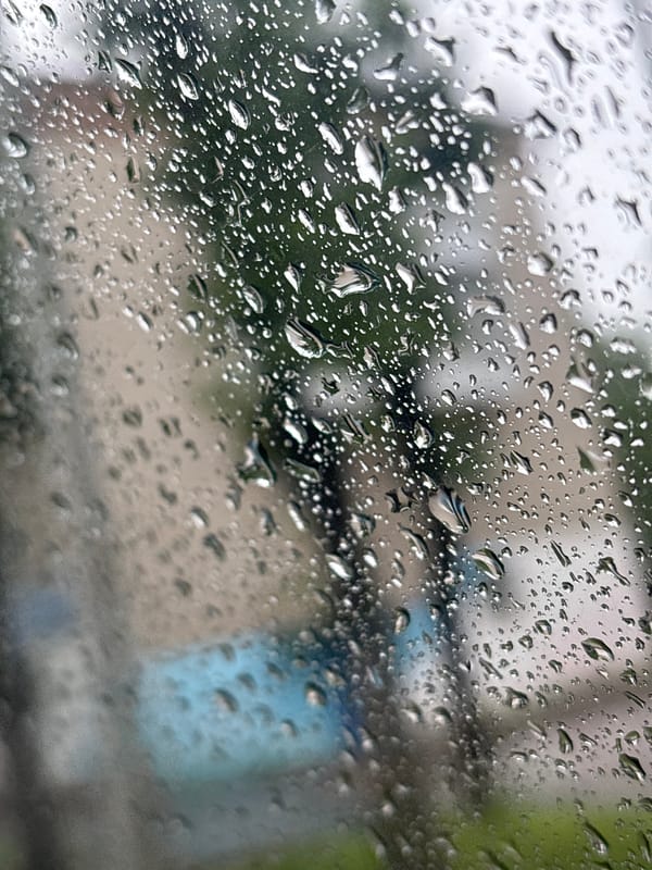 Coffee and pastries on a rainy drive through Birobidzhan