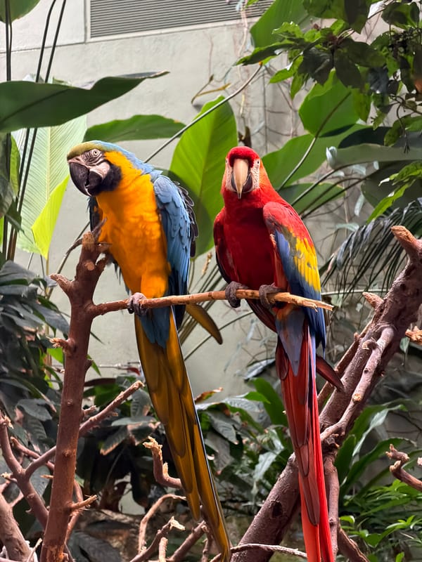Visitors document diverse wildlife at Montreal Biodome exhibits