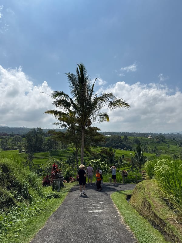 Daily life documented in Penebel's rice terraces and pathways