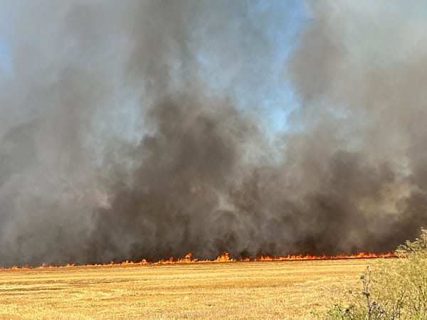 Field fire tears through harvested farmland in Choba, Bulgaria