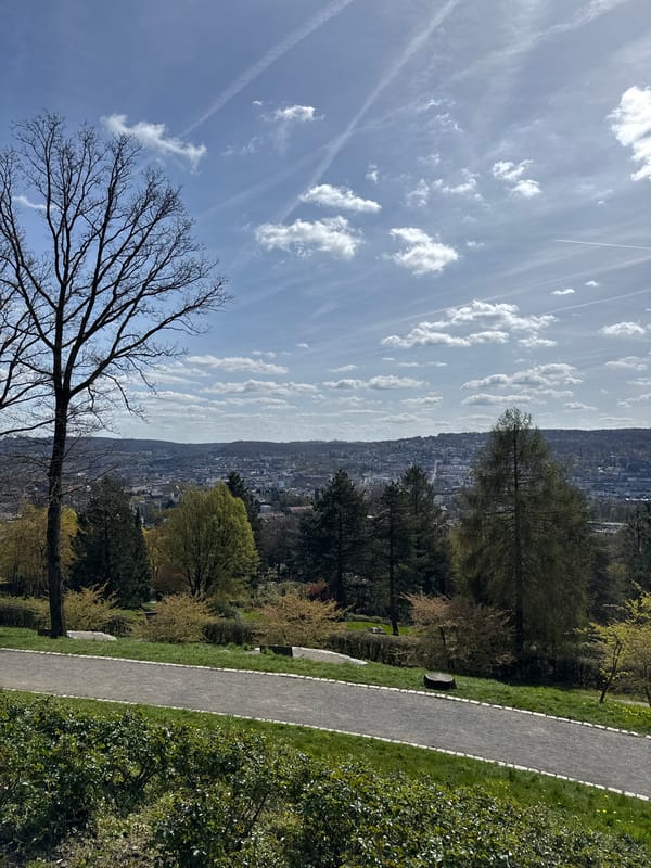 Spring morning gathering at Wuppertal park overlook draws city viewers