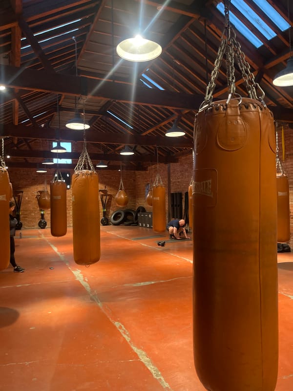 Boxing gym with leather punching bags observed in London