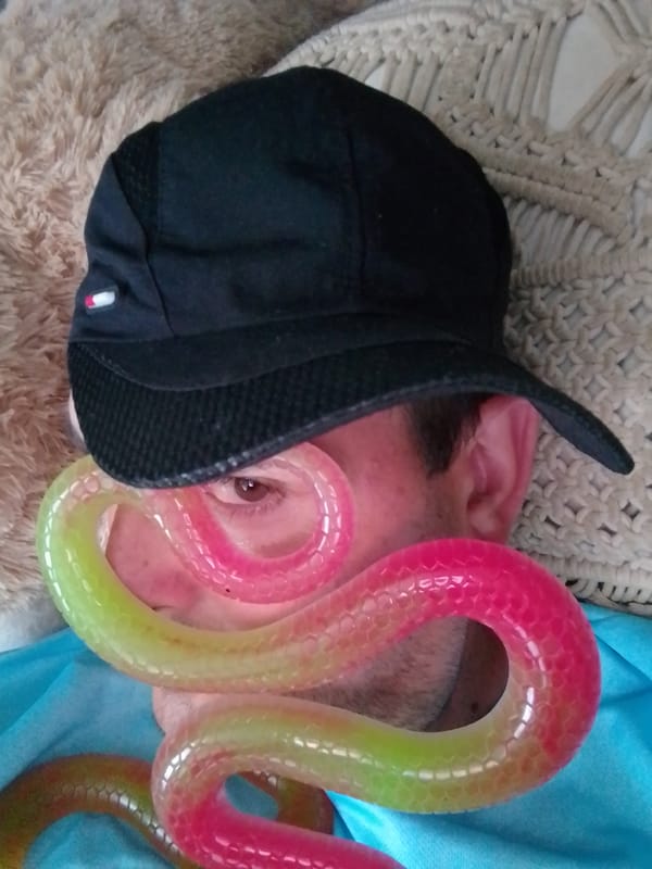 Gummy snake photo series, one afternoon in Wedel