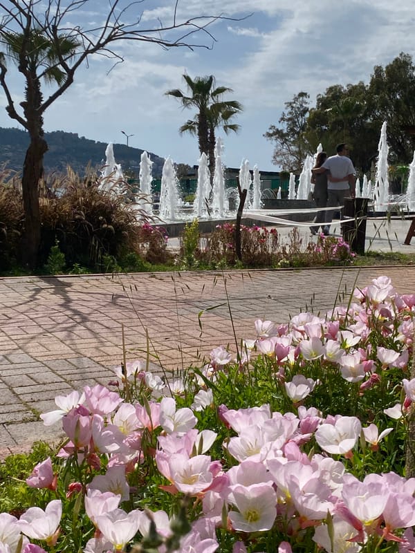 Spring blooms and beach volleyball captured in Alanya, Turkey