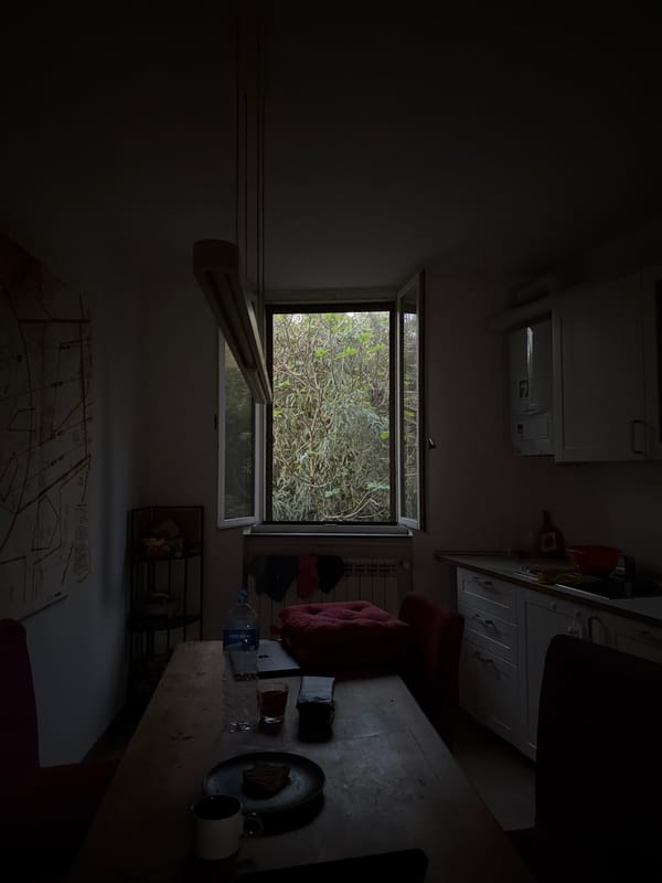 Evening nature walk documented near Milan countryside