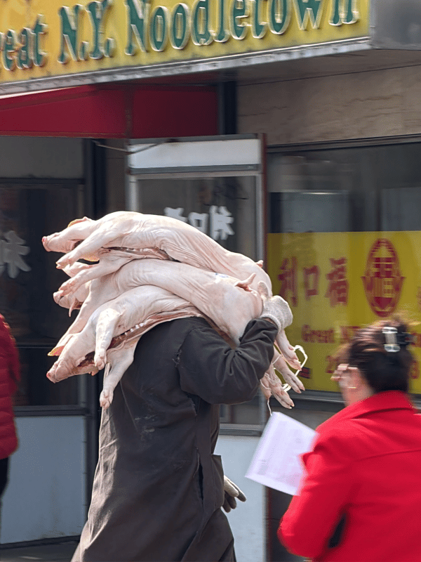 Food delivery operations observed in NYC Chinatown district