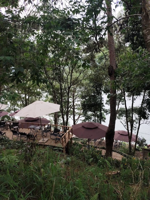 Morning scenes captured at Da Lat lake cafes and walkways