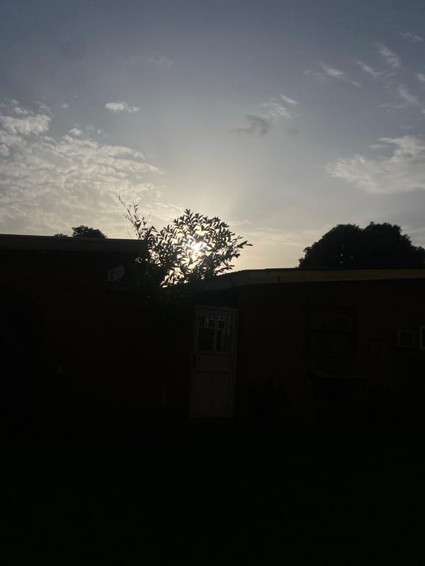 Dusk shots of a Barden Yana building, plus a bandaged leg nearby