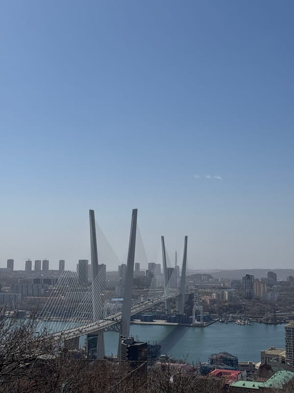 Panoramic view captured of Vladivostok's Golden Bridge and bay