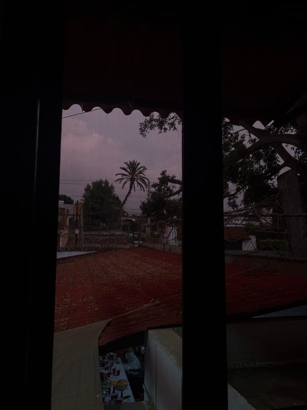 Window view captured in Oaxaca City showing local architecture