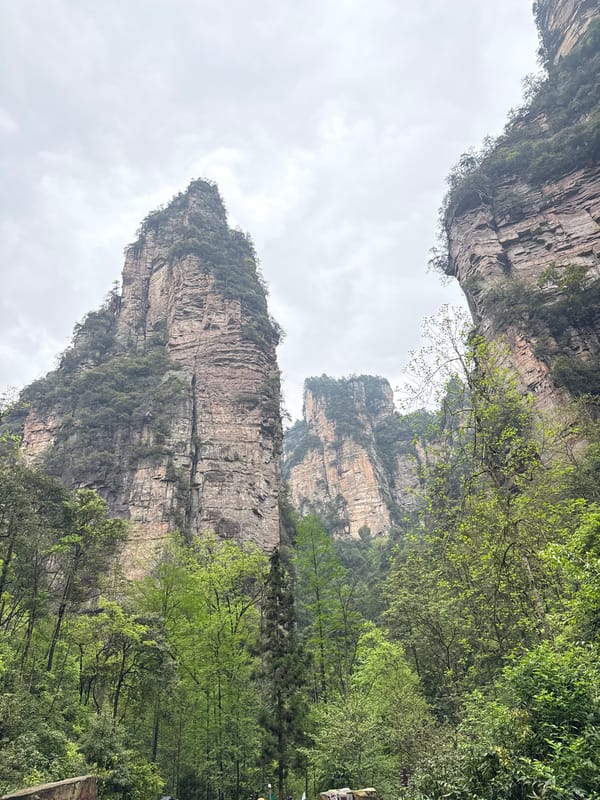 Sandstone pillars with vegetation documented in Luoguta, China