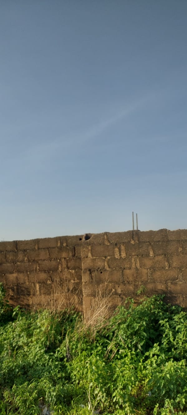 Street life captured in Jalingo, Nigeria during afternoon hours