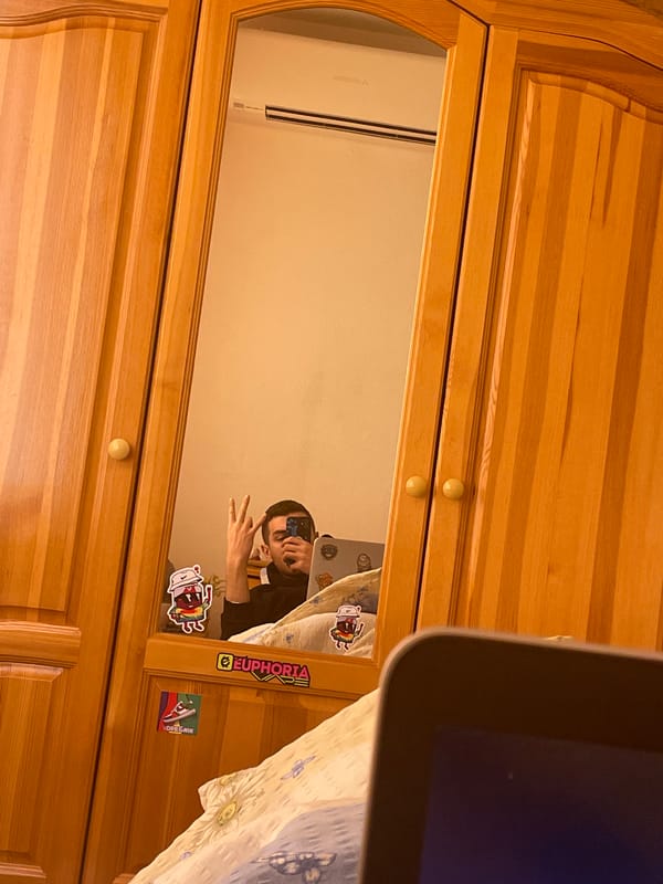 Mirror selfie taken in front of wooden wardrobe