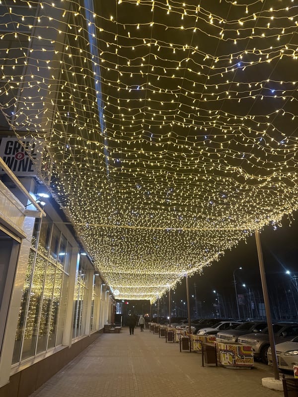 Women take selfie under Christmas lights in Surgut