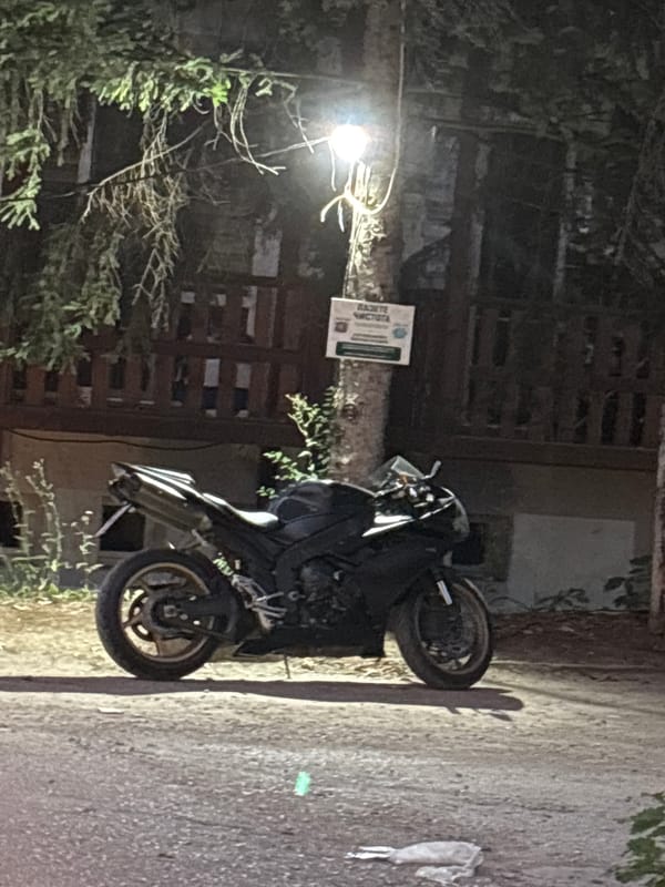 Motorcycle and dog outing, two stops, one afternoon